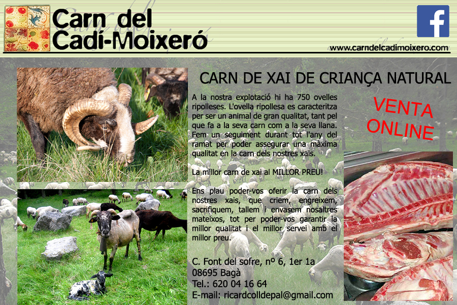 carn del cad - moixer